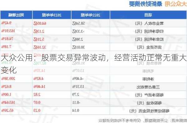 大众公用：股票交易异常波动，经营活动正常无重大变化