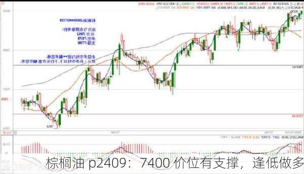 棕榈油 p2409：7400 价位有支撑，逢低做多