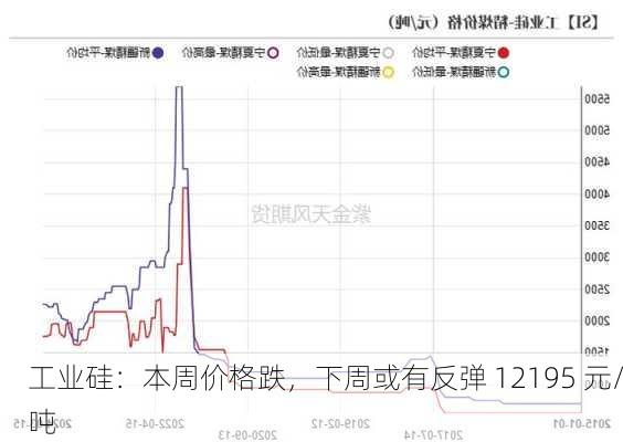 工业硅：本周价格跌，下周或有反弹 12195 元/吨