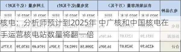 核电：分析师预计到2025年 中广核和中国核电在手运营核电站数量将翻一倍