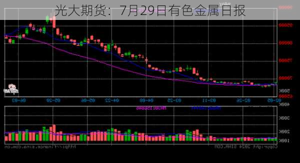 光大期货：7月29日有色金属日报