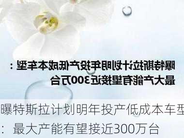 曝特斯拉计划明年投产低成本车型：最大产能有望接近300万台