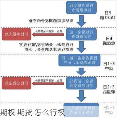 期权 期货 怎么行权