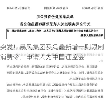 突发！暴风集团及冯鑫新增一则限制消费令，申请人为中国证监会