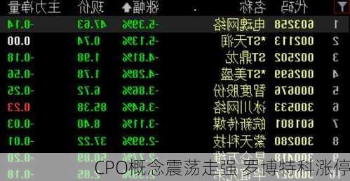 CPO概念震荡走强 罗博特科涨停