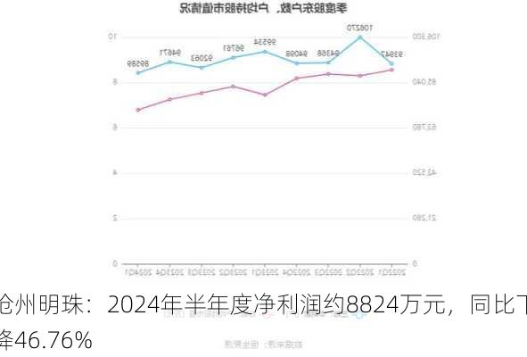 沧州明珠：2024年半年度净利润约8824万元，同比下降46.76%