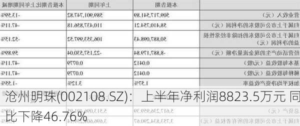 沧州明珠(002108.SZ)：上半年净利润8823.5万元 同比下降46.76%