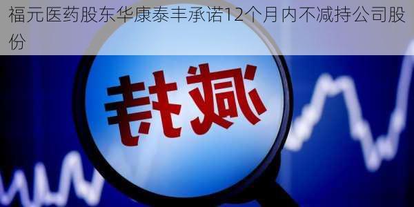 福元医药股东华康泰丰承诺12个月内不减持公司股份