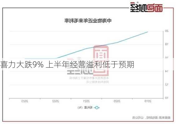 喜力大跌9% 上半年经营溢利低于预期