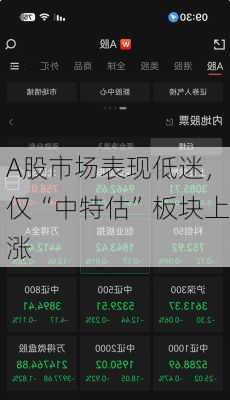 A股市场表现低迷，仅“中特估”板块上涨
