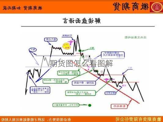 期货图怎么看图解