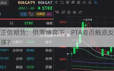 正信期货：供需博弈下，PTA能否触底反弹？