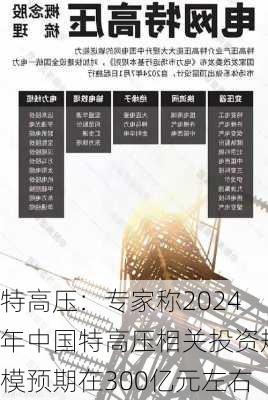 特高压：专家称2024年中国特高压相关投资规模预期在300亿元左右