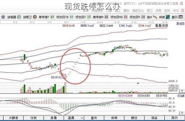 现货跌停怎么办