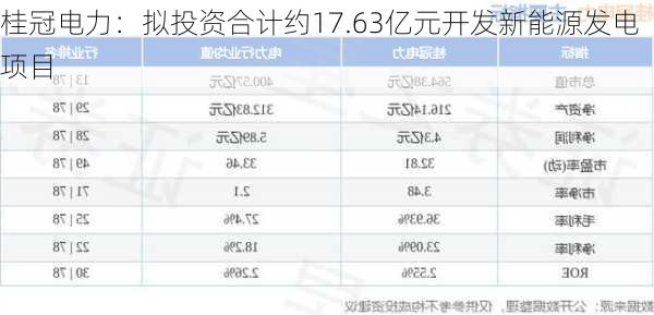 桂冠电力：拟投资合计约17.63亿元开发新能源发电项目