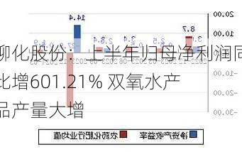 柳化股份：上半年归母净利润同比增601.21% 双氧水产品产量大增