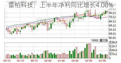 雷柏科技：上半年净利同比增长4.08%