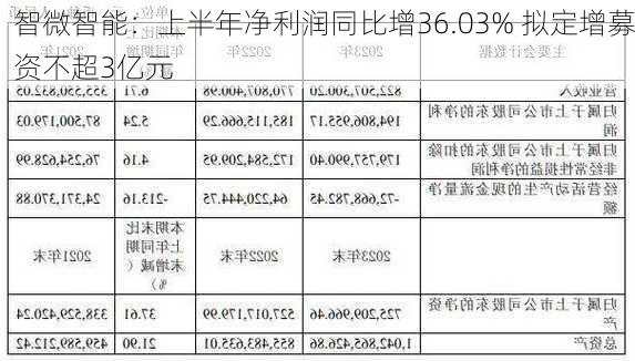 智微智能：上半年净利润同比增36.03% 拟定增募资不超3亿元