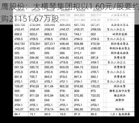 宝鹰股份：大横琴集团拟以1.60元/股要约收购21151.67万股