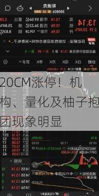 20CM涨停！机构、量化及柚子抱团现象明显