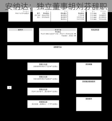 安纳达：独立董事胡刘芬辞职