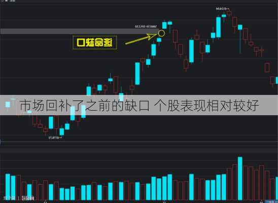市场回补了之前的缺口 个股表现相对较好
