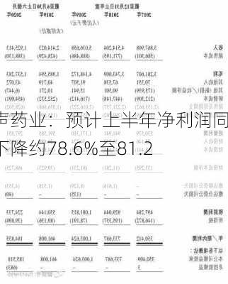 先声药业：预计上半年净利润同比下降约78.6%至81.2%