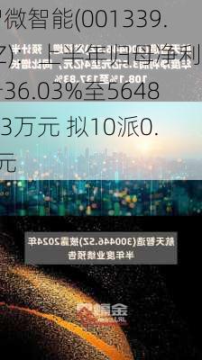 智微智能(001339.SZ)：上半年归母净利润升36.03%至5648.13万元 拟10派0.8元