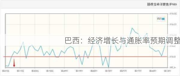 巴西：经济增长与通胀率预期调整