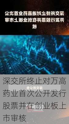 深交所终止对万高药业首次公开发行股票并在创业板上市审核