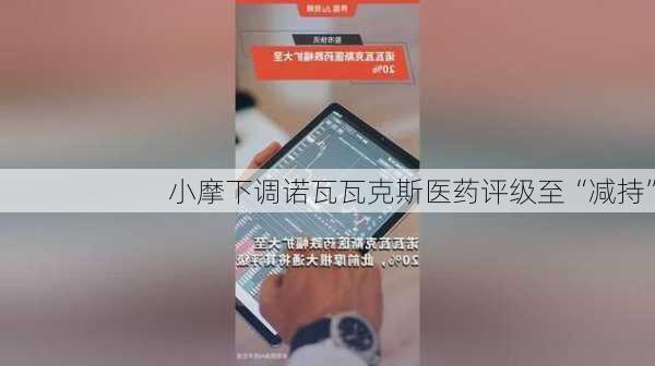 小摩下调诺瓦瓦克斯医药评级至“减持”