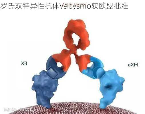 罗氏双特异性抗体Vabysmo获欧盟批准