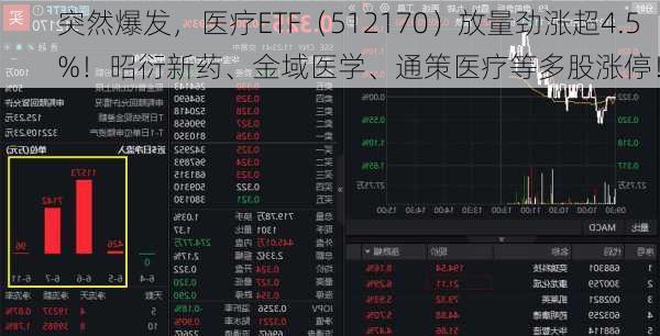 突然爆发，医疗ETF（512170）放量劲涨超4.5%！昭衍新药、金域医学、通策医疗等多股涨停！