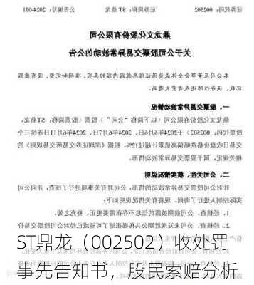 ST鼎龙（002502）收处罚事先告知书，股民索赔分析