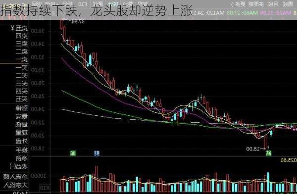 指数持续下跌，龙头股却逆势上涨