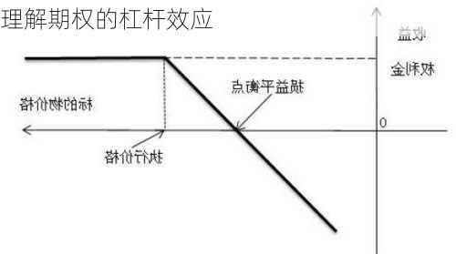 理解期权的杠杆效应