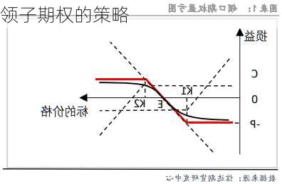 领子期权的策略