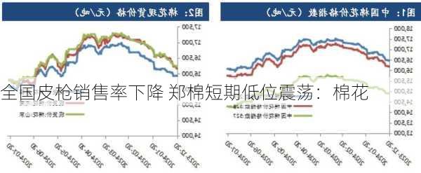 全国皮枪销售率下降 郑棉短期低位震荡：棉花