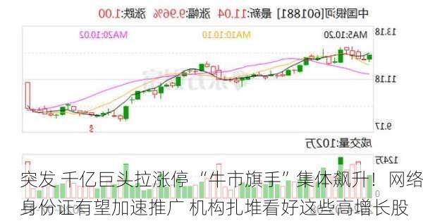 突发 千亿巨头拉涨停 “牛市旗手”集体飙升！网络身份证有望加速推广 机构扎堆看好这些高增长股