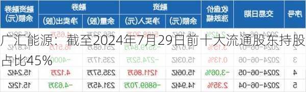 广汇能源：截至2024年7月29日前十大流通股东持股占比45%