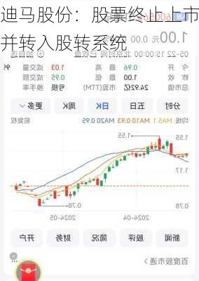 迪马股份：股票终止上市并转入股转系统