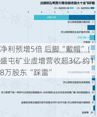 净利预增5倍 后脚“戴帽”！盛屯矿业虚增营收超3亿 约18万股东“踩雷”