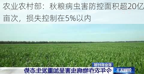 农业农村部：秋粮病虫害防控面积超20亿亩次，损失控制在5%以内