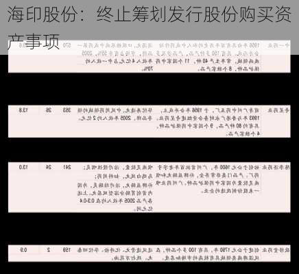 海印股份：终止筹划发行股份购买资产事项