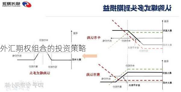 外汇期权组合的投资策略