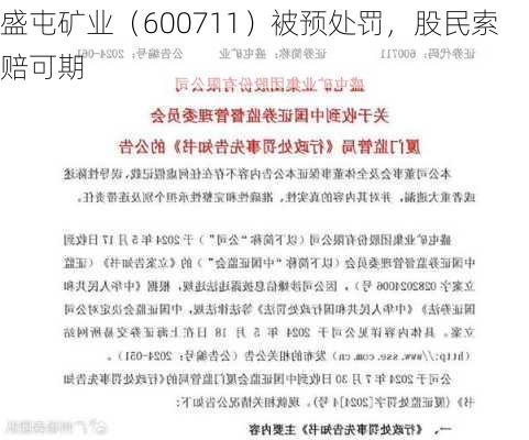 盛屯矿业（600711）被预处罚，股民索赔可期