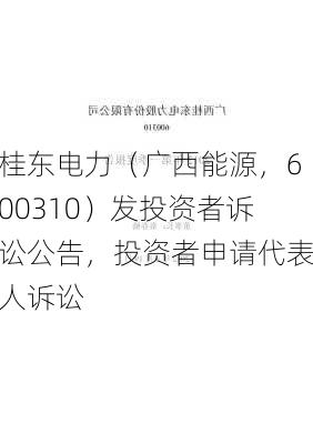 桂东电力（广西能源，600310）发投资者诉讼公告，投资者申请代表人诉讼