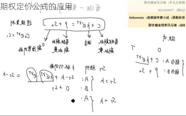 期权定价公式的应用