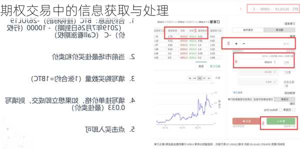 期权交易中的信息获取与处理