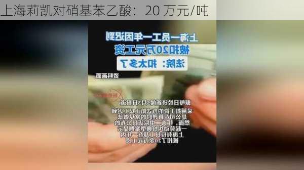 上海莉凯对硝基苯乙酸：20 万元/吨